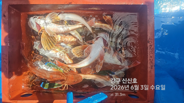 신신낚시 강구점 신신호_사진_20260603_15.jpg