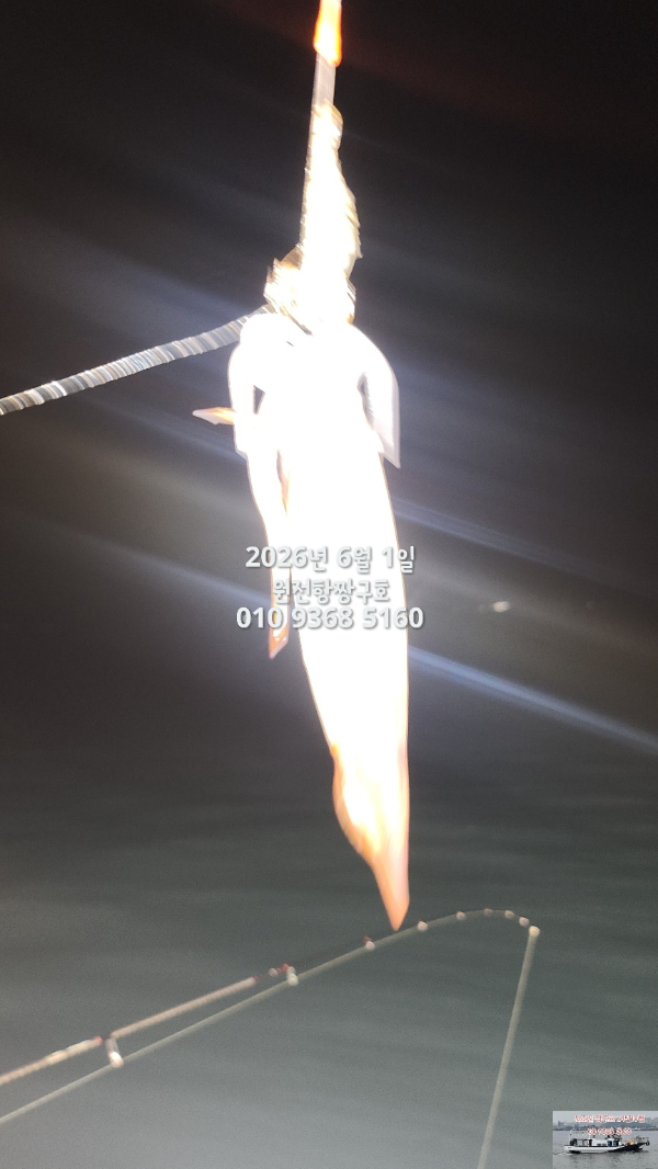 KakaoTalk_20260601_035131609.jpg