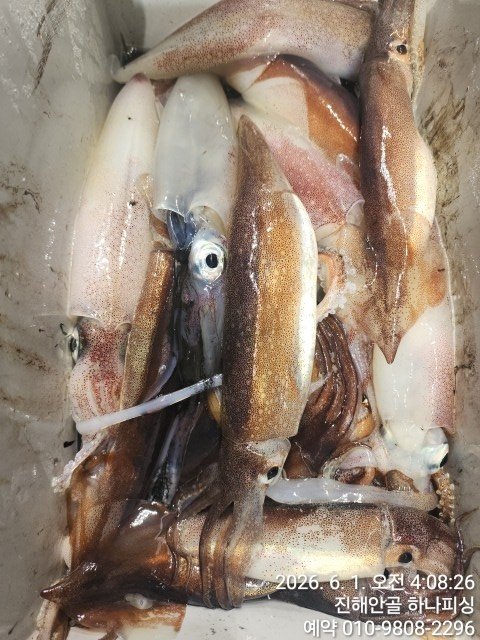 1000175620.jpg
