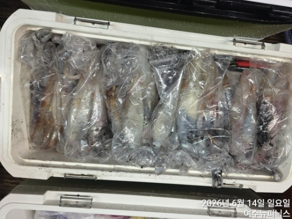 6월14일한치 (44).jpg