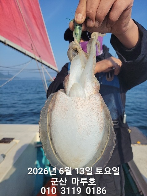KakaoTalk_20260613_073856528.jpg