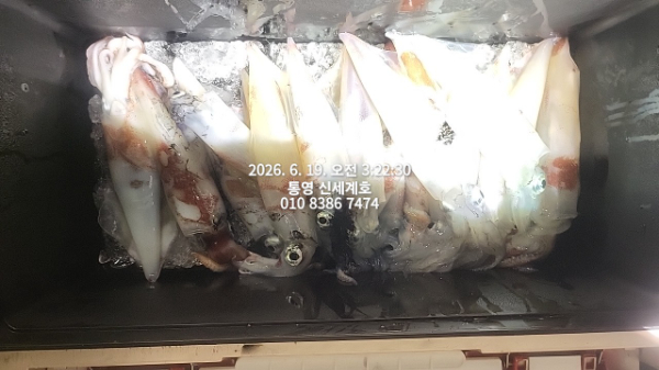 1781913459421.jpg