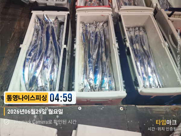 2026-06-29 04.59.53__(제목-통영나이스피싱).jpg