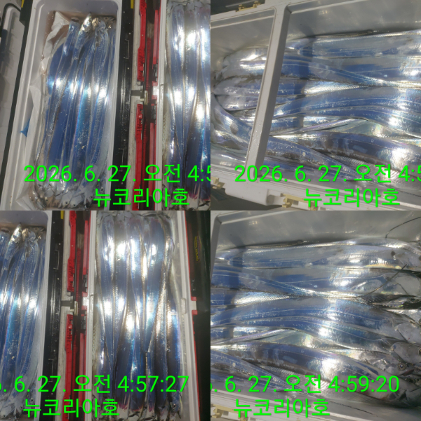 1000082274.jpg