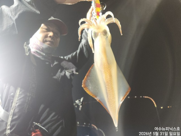 6월1일한치 (11).jpg