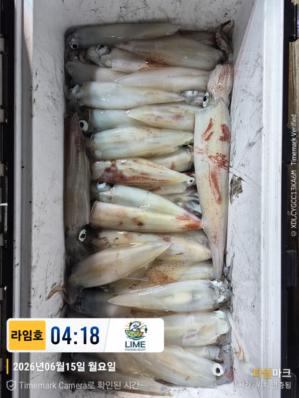 KakaoTalk_20260616_065443814_25.jpg