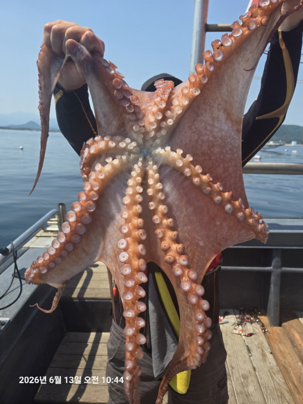 공현진낚시마트(돌핀호)_사진_20260613_1.jpg