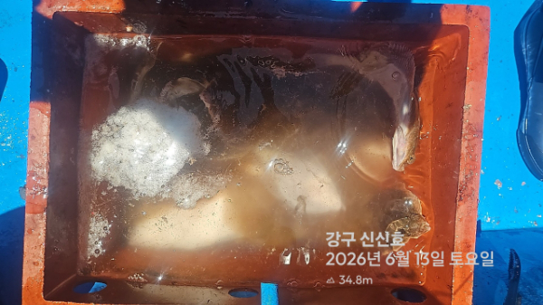 신신낚시 강구점 신신호_사진_20260613_12.jpg