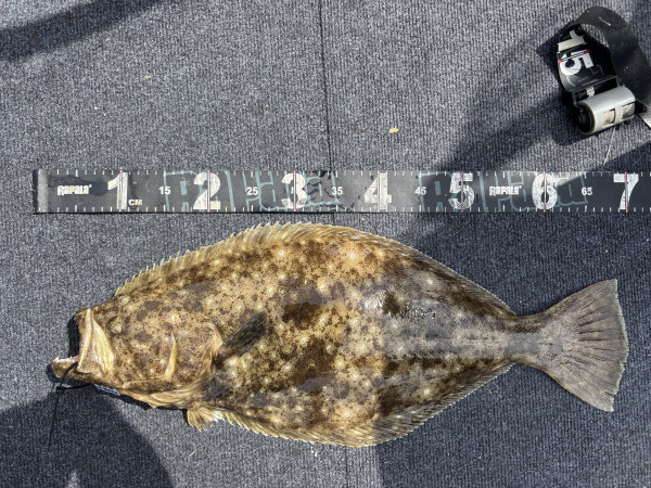 KakaoTalk_20260628_032032006_16.jpg