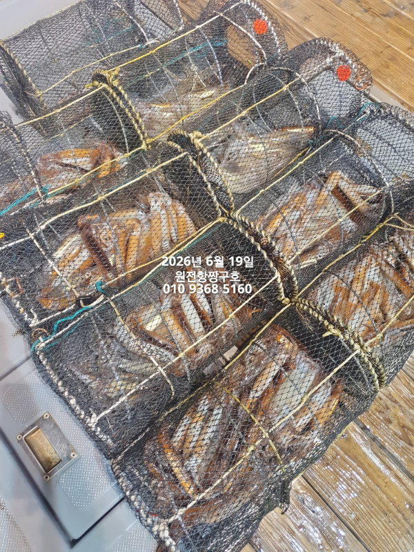 KakaoTalk_20260619_151552774.jpg