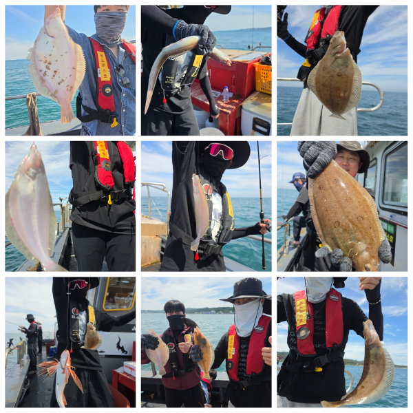 PhotoCollage_1780961696863.jpg