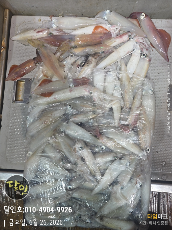 2026-06-26 03.56.10__(제목-달인호010-4904-9926).jpg