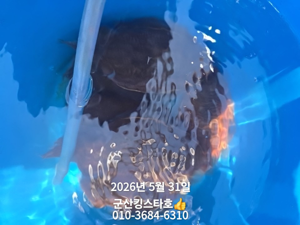 KakaoTalk_20260601_164809605_10.jpg