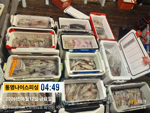2026-06-12 04.49.41__(제목-통영나이스피싱).jpg