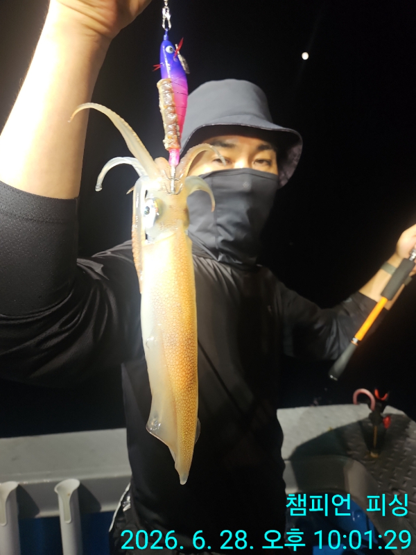 BandPhoto_2026_06_29_08_02_19_23.jpg