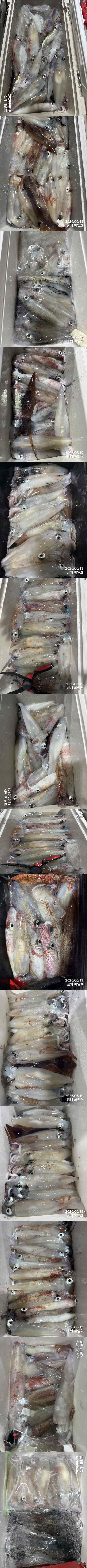 왕한치3.jpg