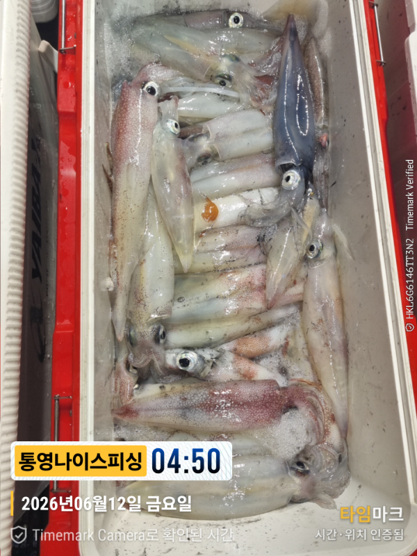 2026-06-12 04.50.22__(제목-통영나이스피싱).jpg