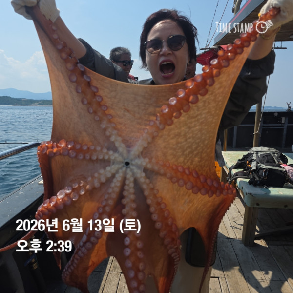 공현진낚시마트(돌핀호)_사진_20260613_8.jpg