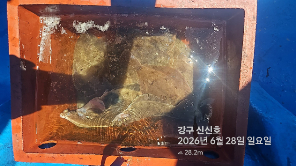 신신낚시 강구점 신신호_사진_20260628_4.jpg