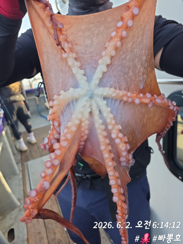 빠뽕호 (010_2127_0378)_사진_20260602_21.jpg