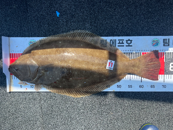 KakaoTalk_20260617_173517839_15.jpg