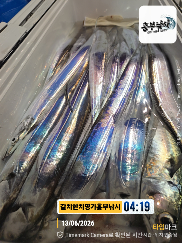 2026-06-13 04.19.23__(제목-갈치한치명가흥부낚시).jpg