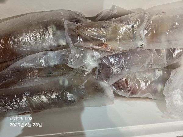 KakaoTalk_20260628_062334647_09.jpg