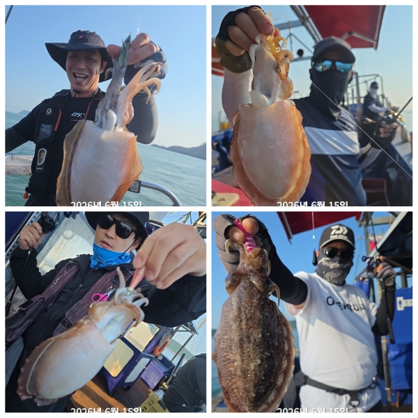 PhotoCollage_1781500695097.jpg