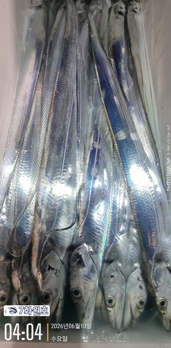 55D02C8C-5DAF-4A15-912F-DDF57D5579C2.jpeg