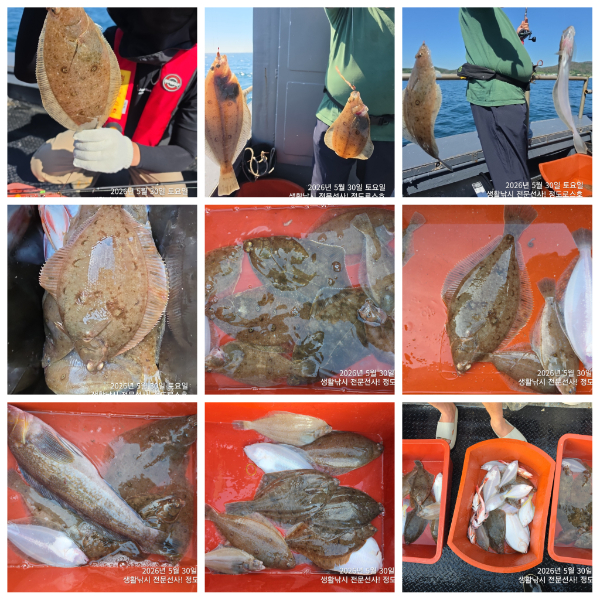 PhotoCollage_1780294827725.jpg