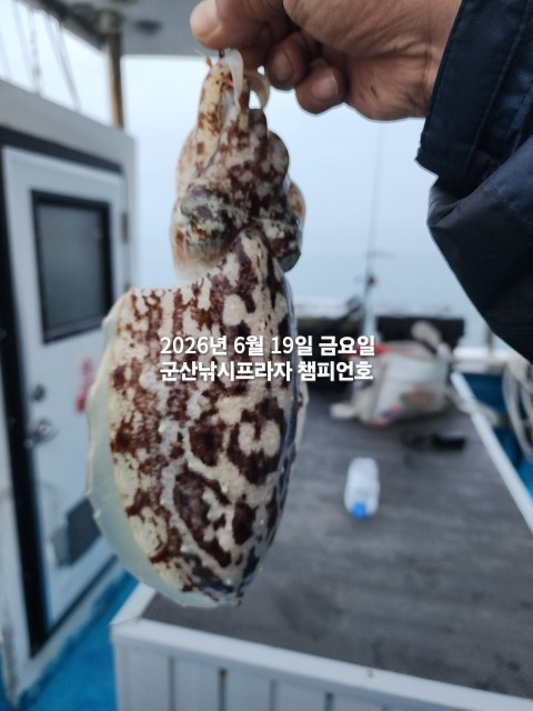 KakaoTalk_20260619_062639704_05.jpg