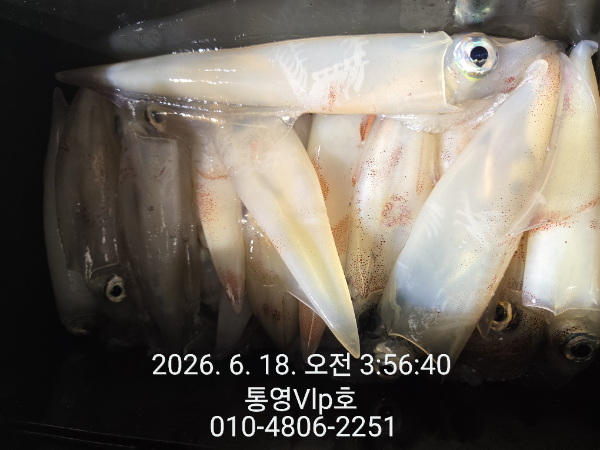 1781734457802.jpg