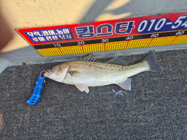 1000068245.jpg