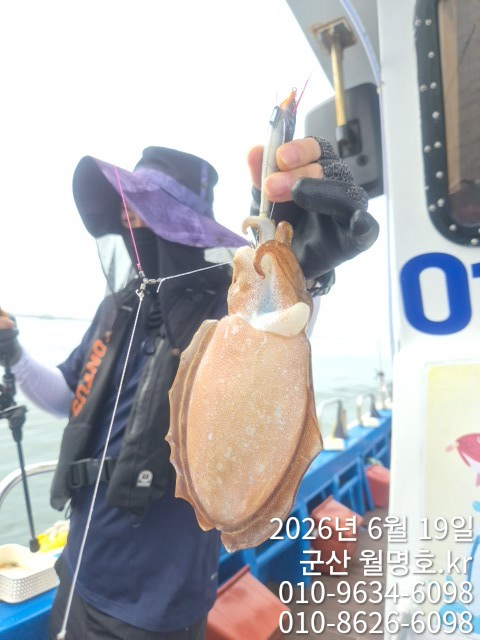 9802.jpg