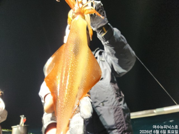 6월6일한치 (22).jpg