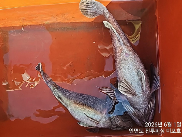 KakaoTalk_20260601_165244190_02.jpg