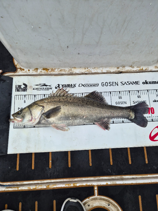 20260607_150436.jpg