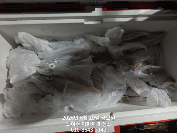 KakaoTalk_20260620_164006498_16.jpg