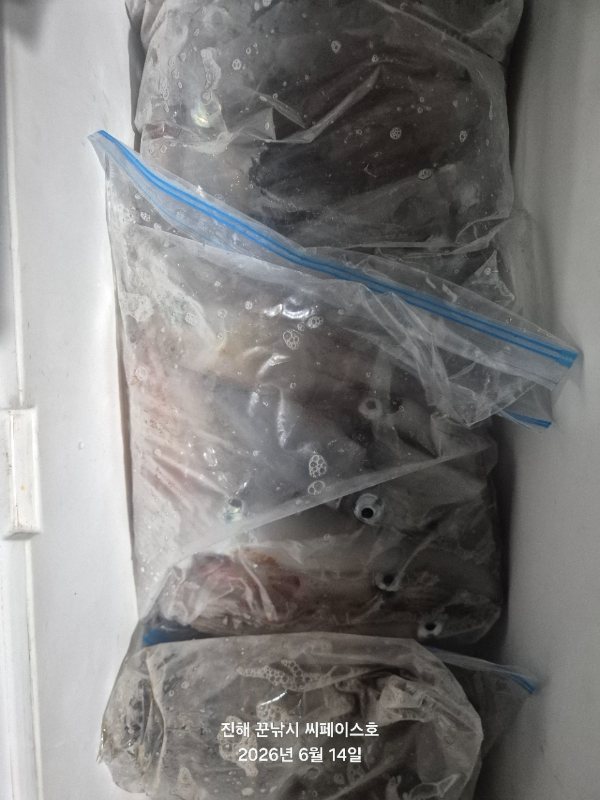 1000056282.jpg