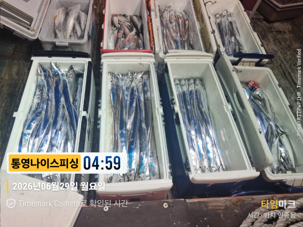 2026-06-29 04.59.36__(제목-통영나이스피싱).jpg