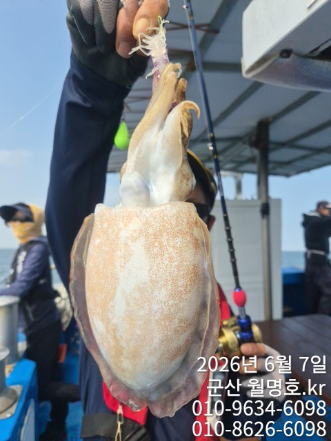 8644.jpg