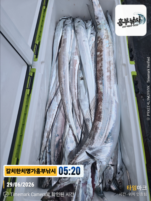 2026-06-29 05.20.38__(제목-갈치한치명가흥부낚시).jpg