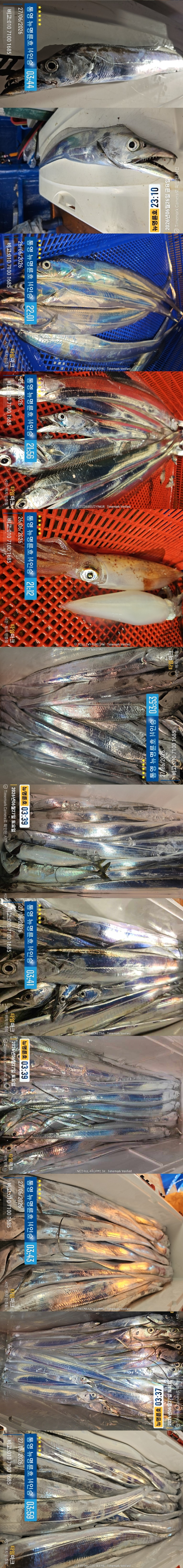 6-27갈치한치2.jpg