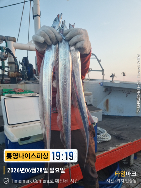 2026-06-28 19.19.14__(제목-통영나이스피싱).jpg