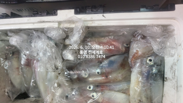 1781040893043.jpg