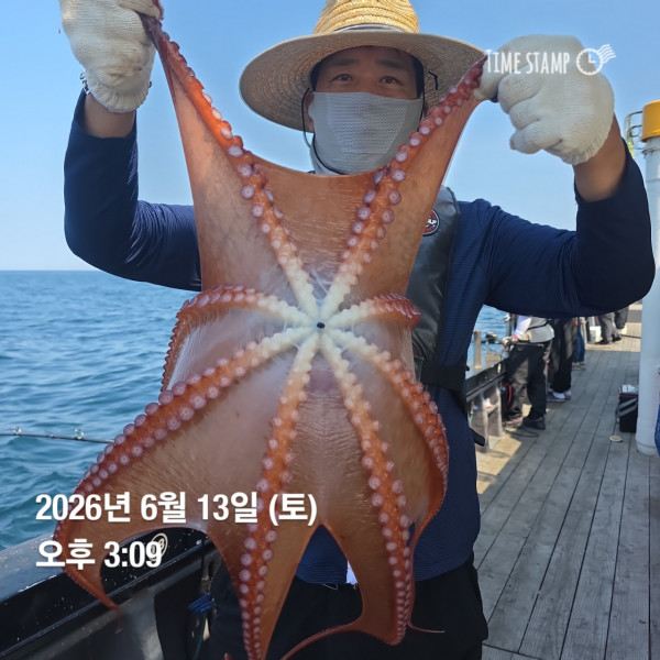공현진낚시마트(돌핀호)_사진_20260613_6.jpg