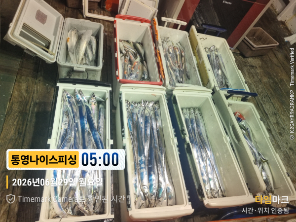 2026-06-29 05.00.04__(제목-통영나이스피싱).jpg