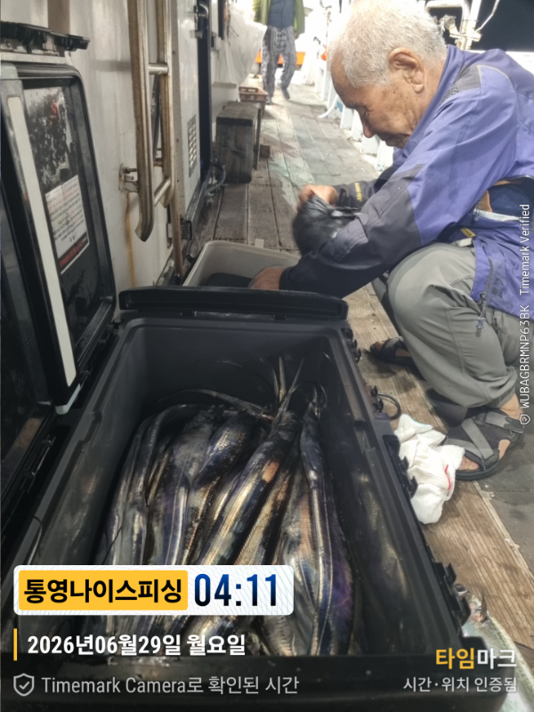 2026-06-29 04.11.11__(제목-통영나이스피싱).jpg