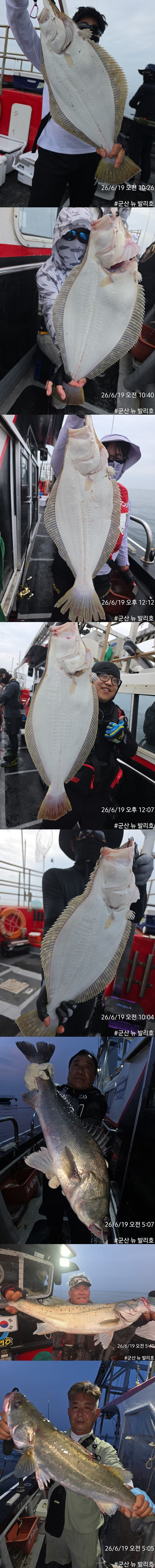KakaoTalk_20260619_164126479_05-vert11111111111111.jpg