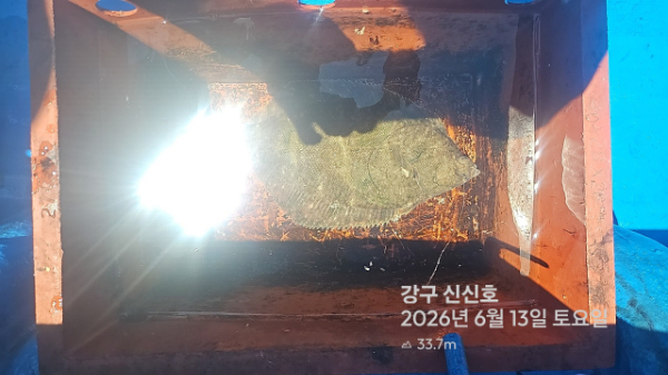 신신낚시 강구점 신신호_사진_20260613_10.jpg
